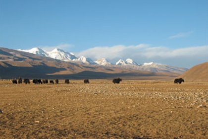 Tsurpuk-Yangpachen Trek